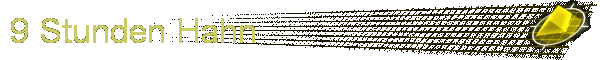 9 Stunden Hahn